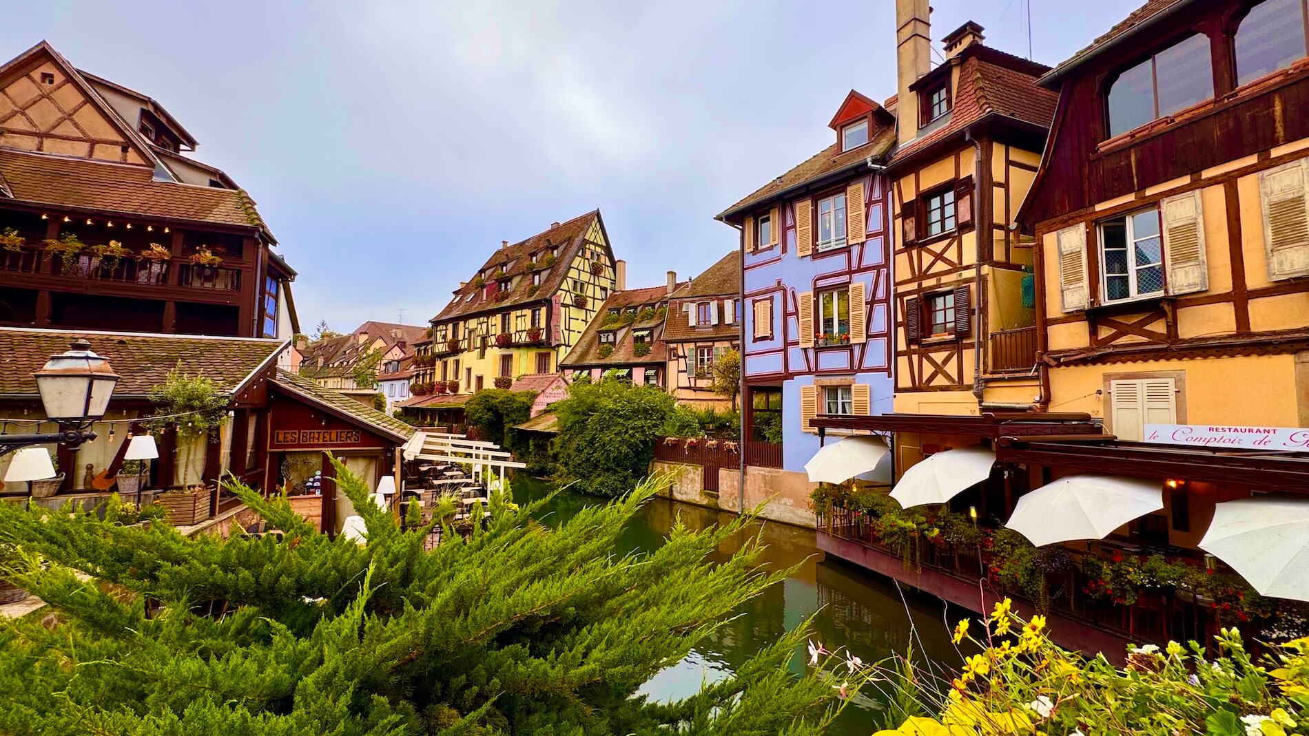 A picturesque view of Colmar, France, showcasing colourful half-timbered houses along a canal with flowers in bloom.